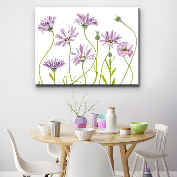 Cape Daisies I' Wrapped Canvas Wall Art