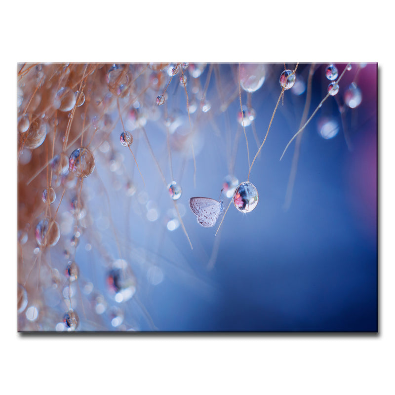 Droplets' Wrapped Canvas Wall Art