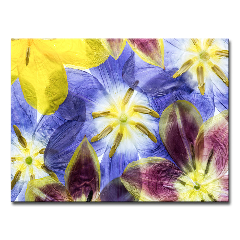 Tulips I' Wrapped Canvas Wall Art