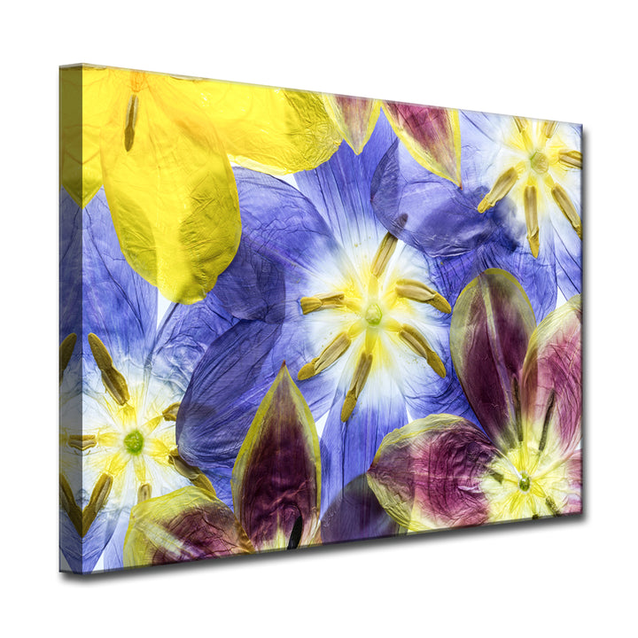 Tulips I' Wrapped Canvas Wall Art