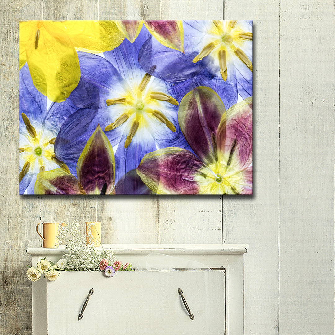 Tulips I' Wrapped Canvas Wall Art