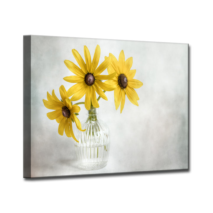 Rudbeckia' Wrapped Canvas Wall Art