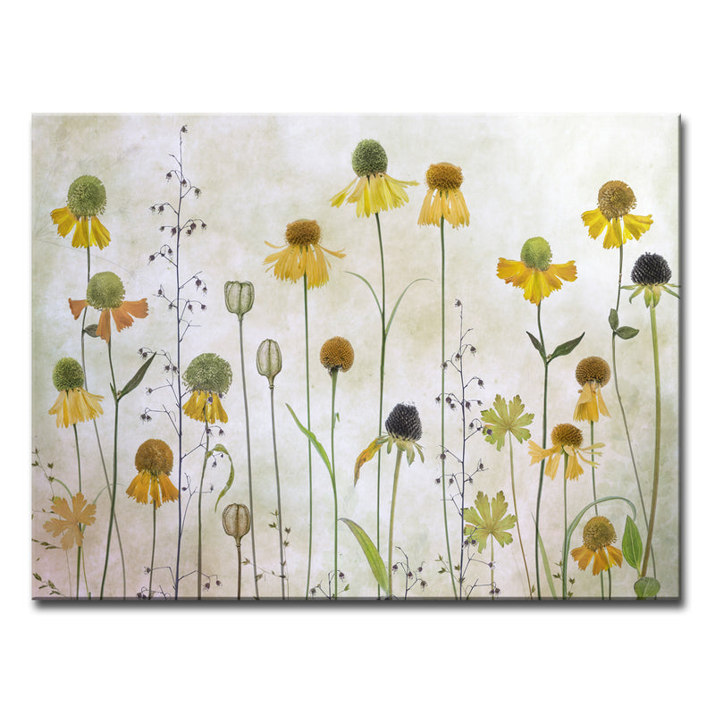 Helenium' Wrapped Canvas Wall Art