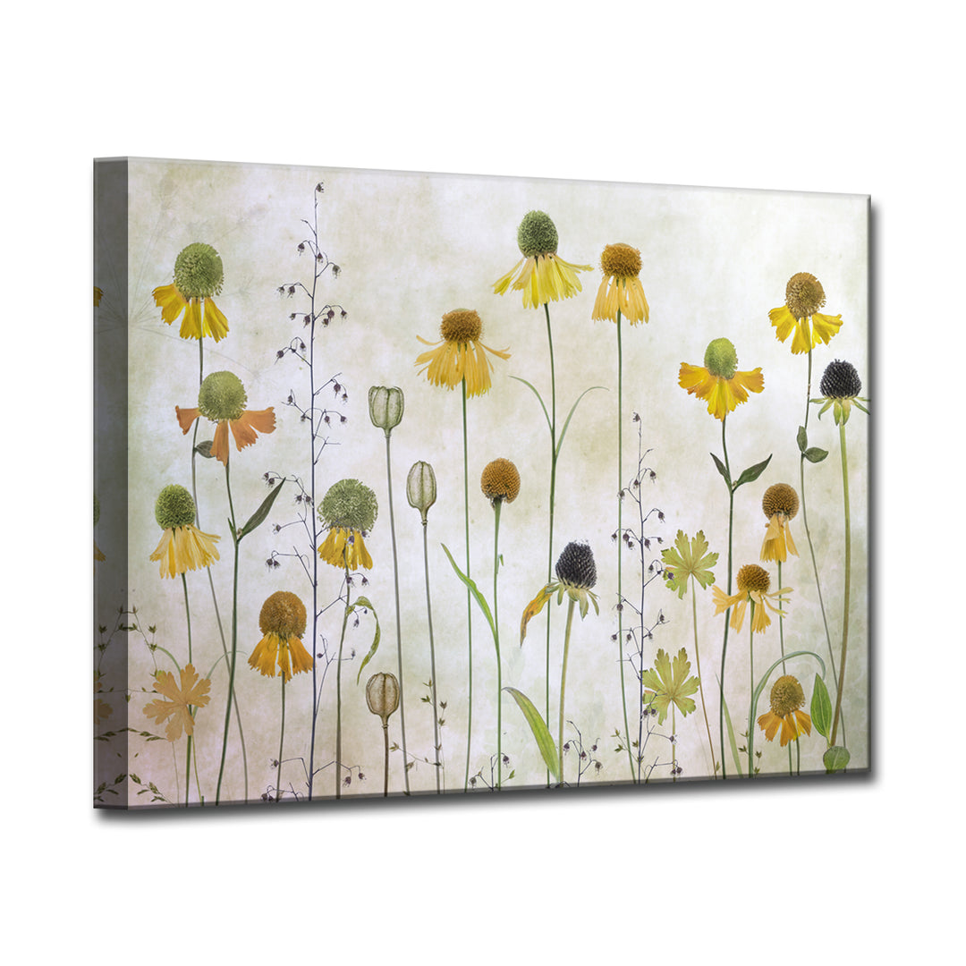 Helenium' Wrapped Canvas Wall Art
