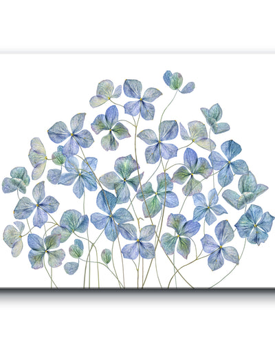 Hydrangea I' Wrapped Canvas Wall Art