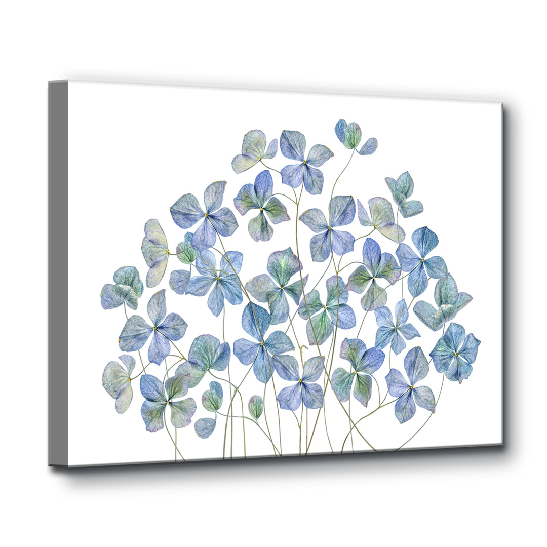 Hydrangea I' Wrapped Canvas Wall Art