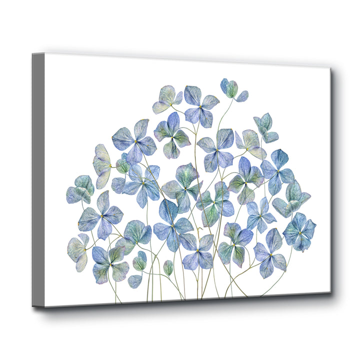 Hydrangea I' Wrapped Canvas Wall Art