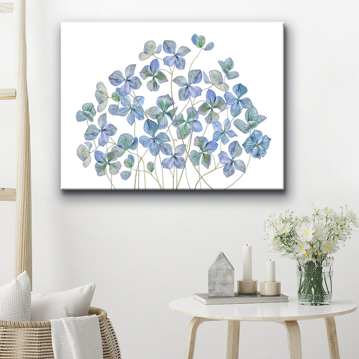 Hydrangea I' Wrapped Canvas Wall Art