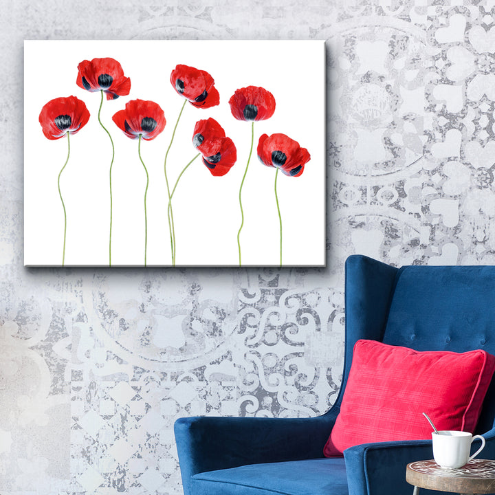 Ladybird Poppies' Wrapped Canvas Wall Art