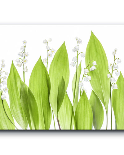 Lilly of the Valley' Wrapped Canvas Wall Art