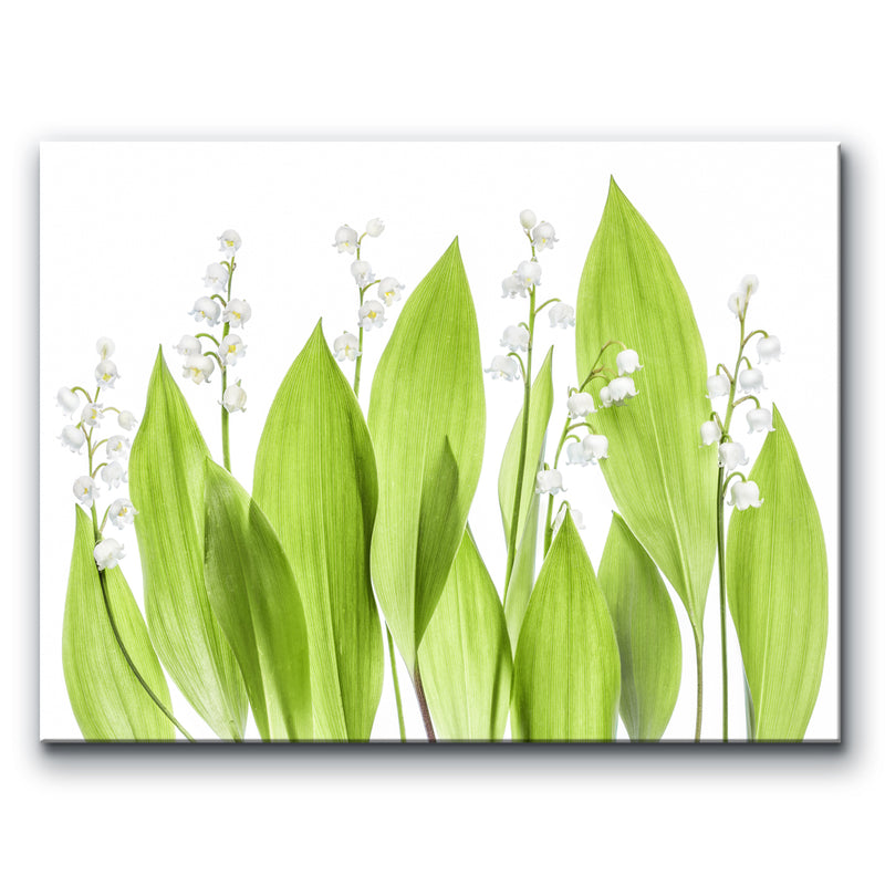 Lilly of the Valley' Wrapped Canvas Wall Art