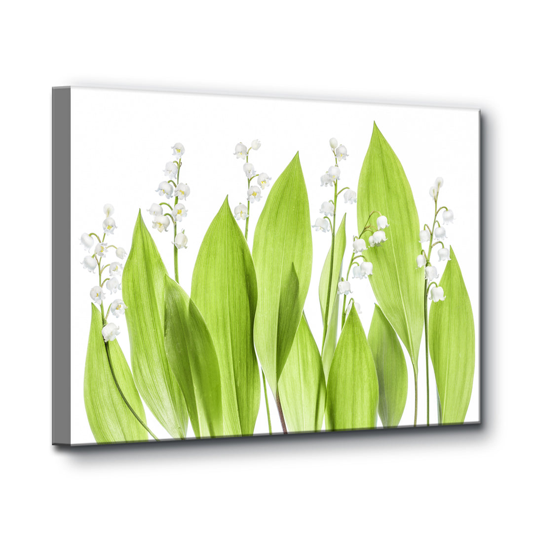 Lilly of the Valley' Wrapped Canvas Wall Art