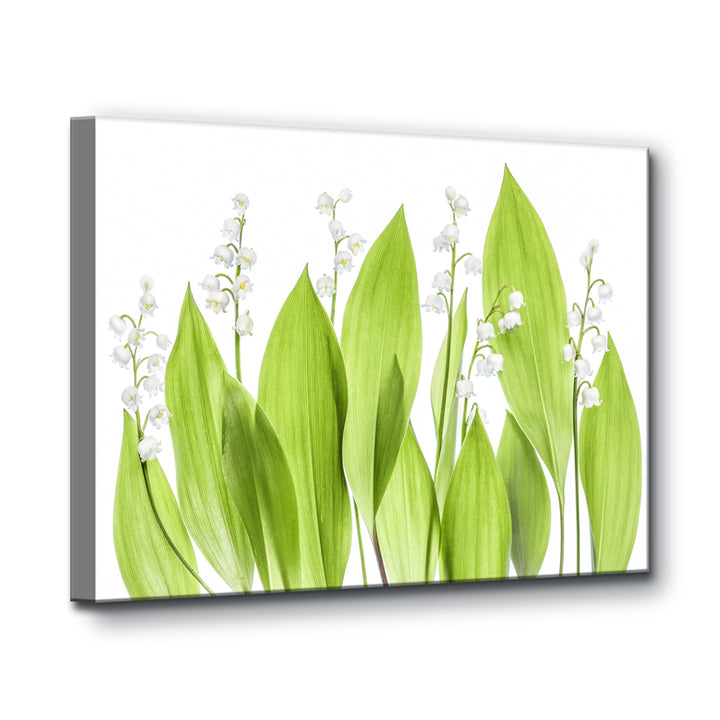 Lilly of the Valley' Wrapped Canvas Wall Art