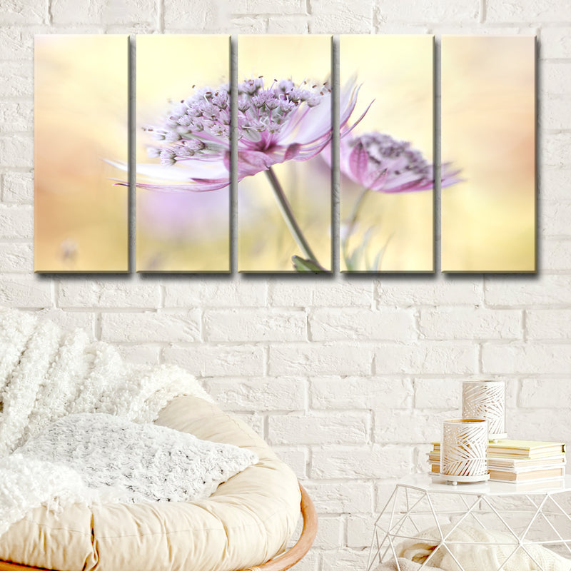 Pink Astrantia' 5 Piece Wrapped Canvas Wall Art Set