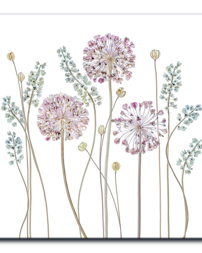 Allium' Wrapped Canvas Wall Art
