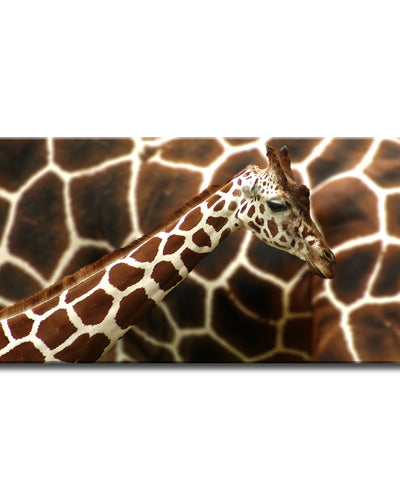 Giraffe' Wrapped Canvas Wall Art