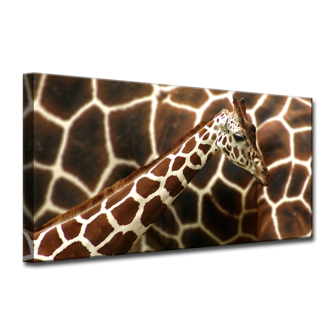 Giraffe' Wrapped Canvas Wall Art