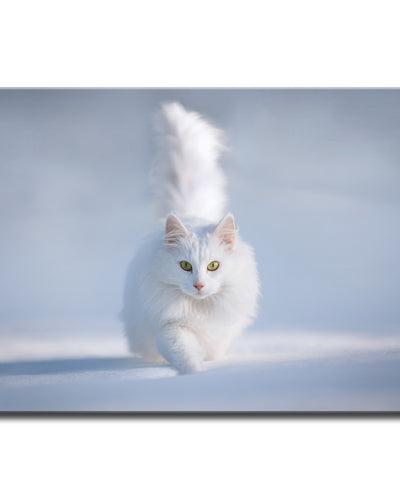 Yellow Eyes' Wrapped Canvas Wall Art