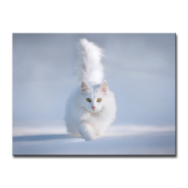 Yellow Eyes' Wrapped Canvas Wall Art