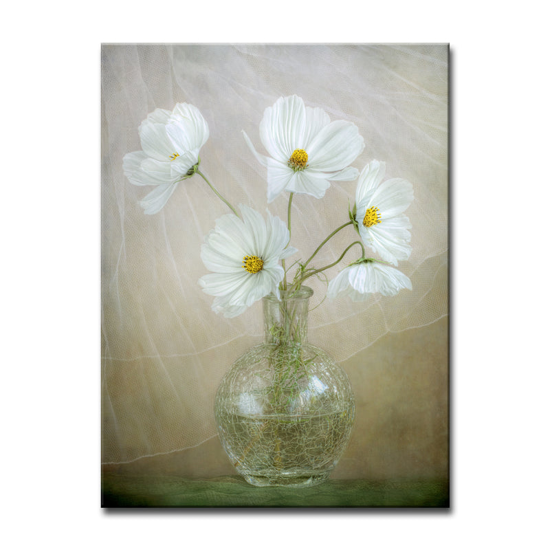 Cosmos Breeze' Wrapped Canvas Wall Art