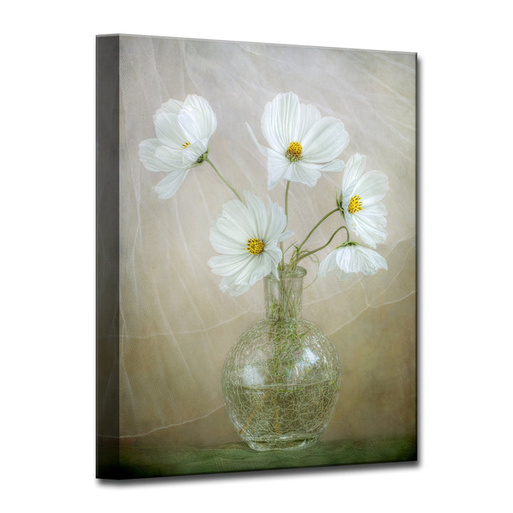 Cosmos Breeze' Wrapped Canvas Wall Art