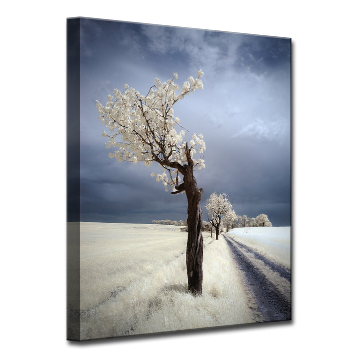 IRenka' Wrapped Canvas Wall Art