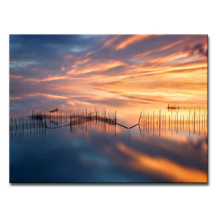 Fish Nets' Wrapped Canvas Wall Art