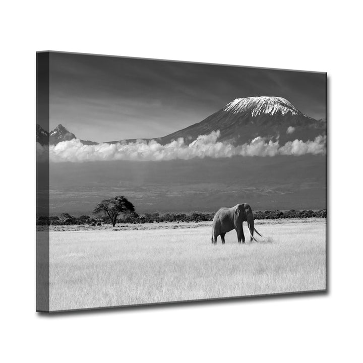Lost Colors II' Wrapped Canvas Wall Art