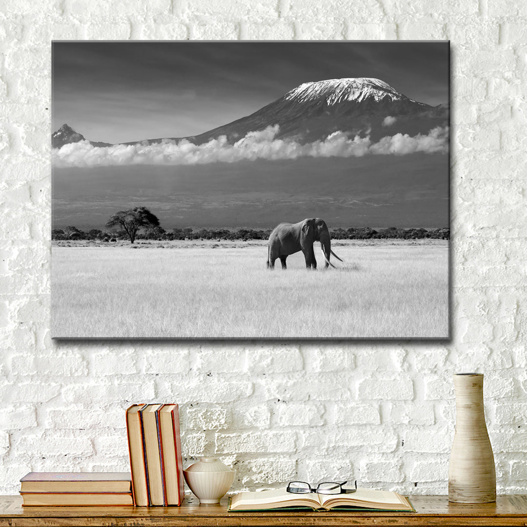 Lost Colors II' Wrapped Canvas Wall Art