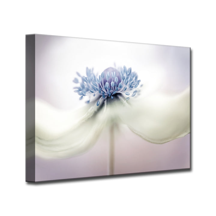 Anemone' Wrapped Canvas Wall Art