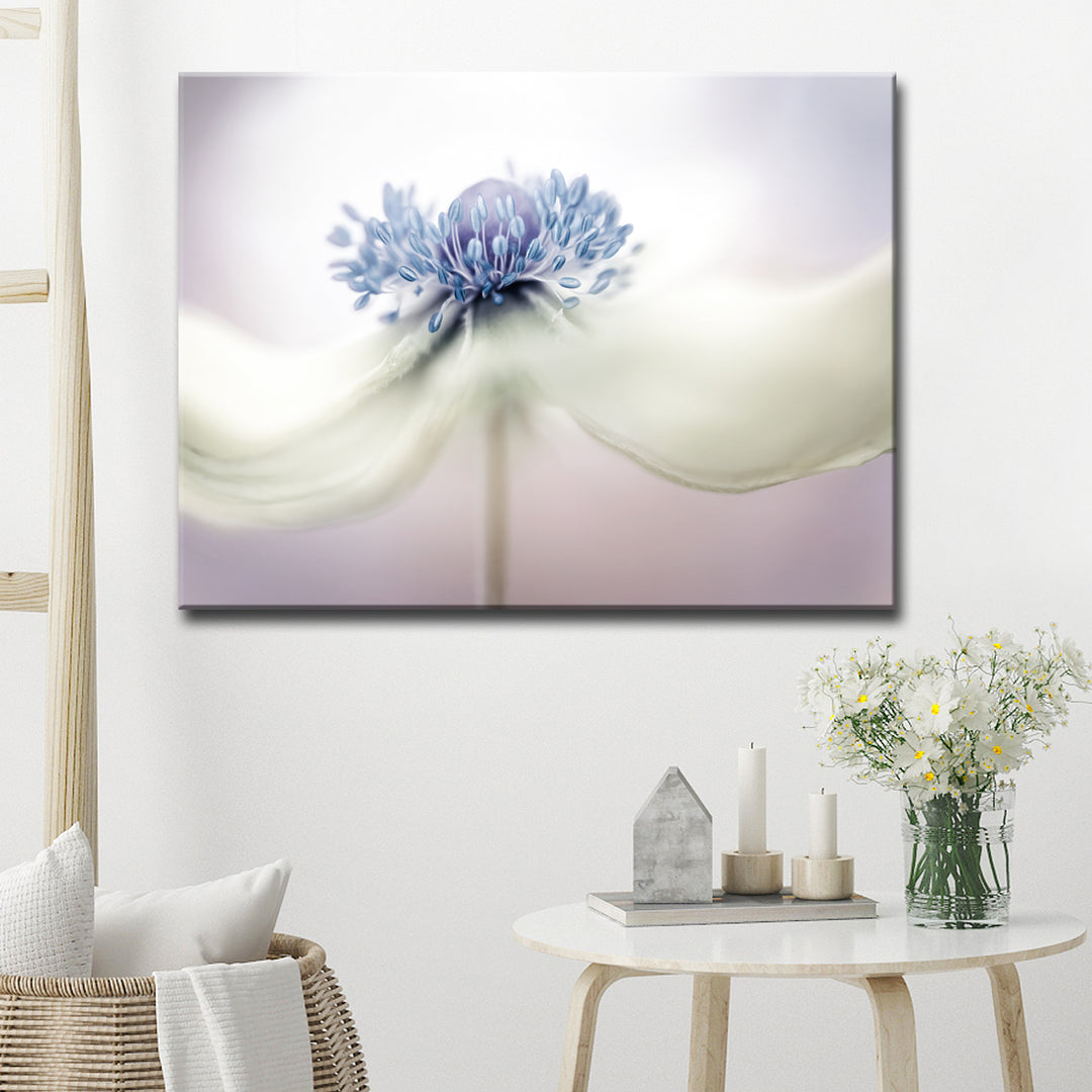 Anemone' Wrapped Canvas Wall Art
