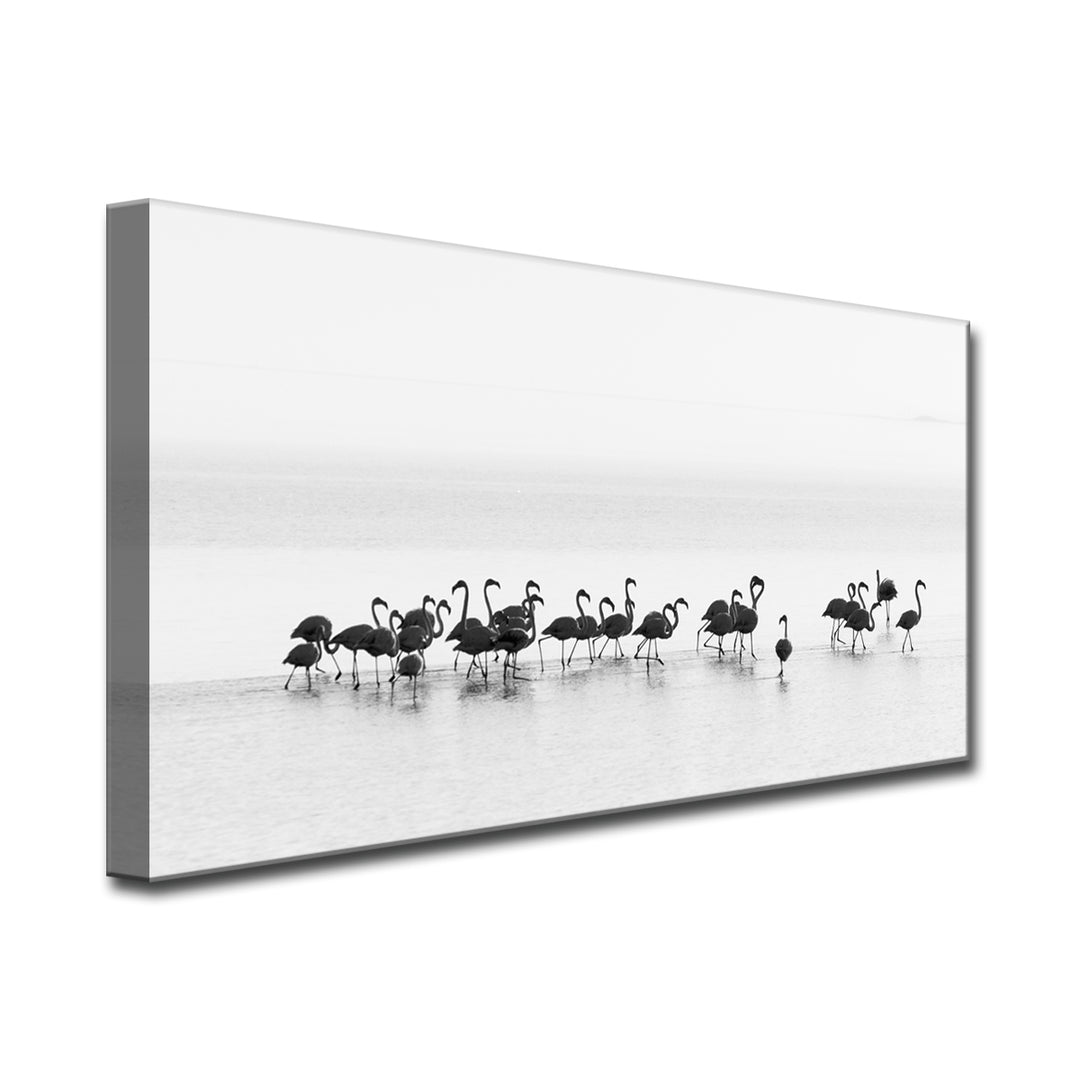 Flamingos' Wrapped Canvas Wall Art