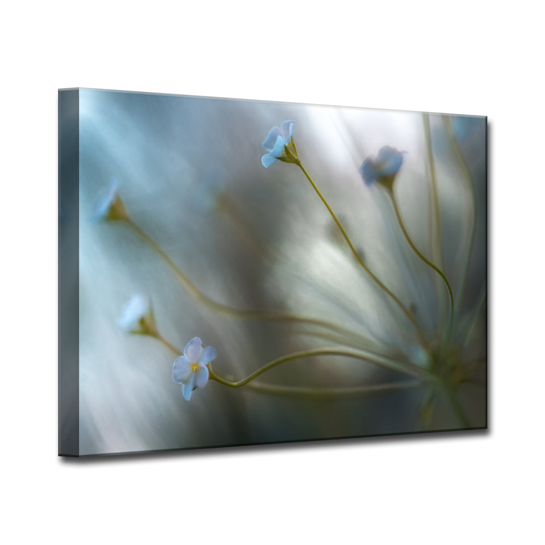 Jasmine' Wrapped Canvas Wall Art