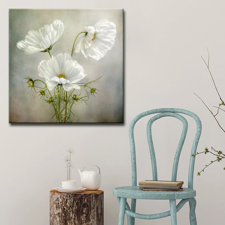Cosmos Charm' Wrapped Canvas Wall Art