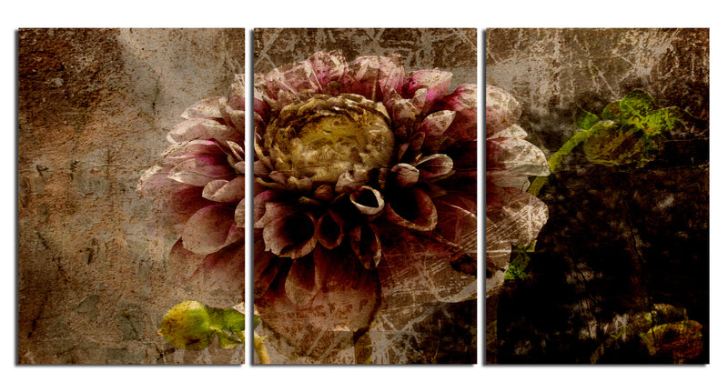 Floral' 3 Piece Wrapped Canvas Wall Art