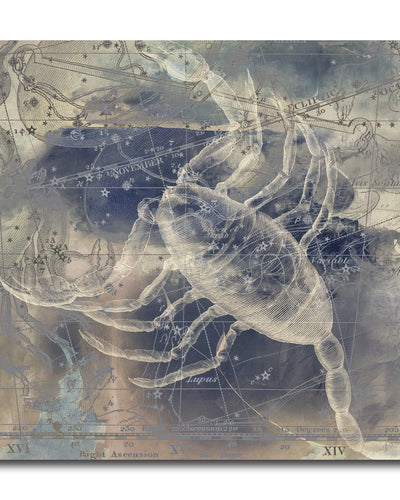 Zodiac Study: Scorpio'  Wrapped Canvas Wall Art