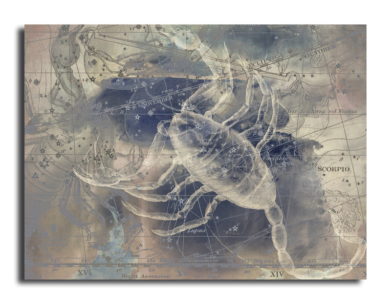 Zodiac Study: Scorpio'  Wrapped Canvas Wall Art