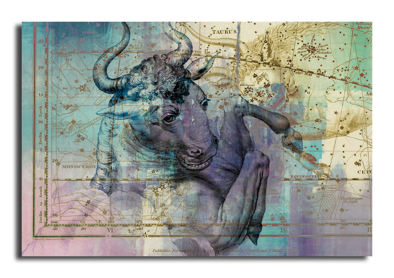 Zodiac Study: Taurus' Wrapped Canvas Wall Art
