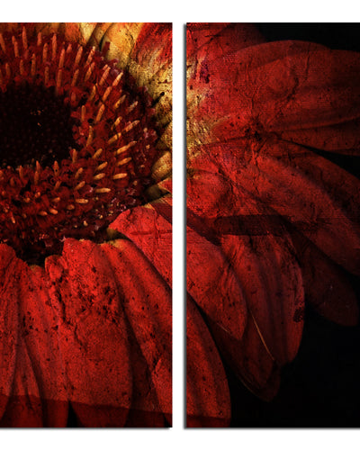 Gerber Daisy' 2 Piece Wrapped Canvas Wall Art Set