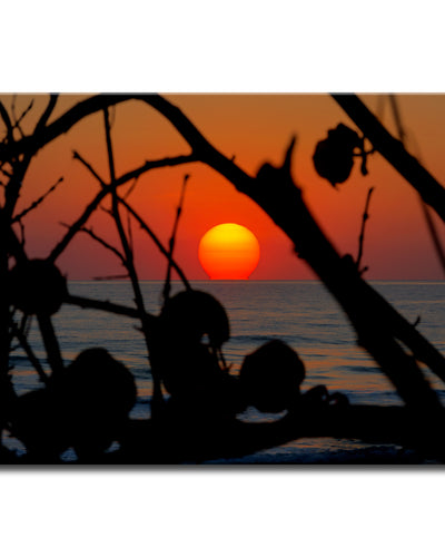 Sun Soaked' Wrapped Canvas Wall Art