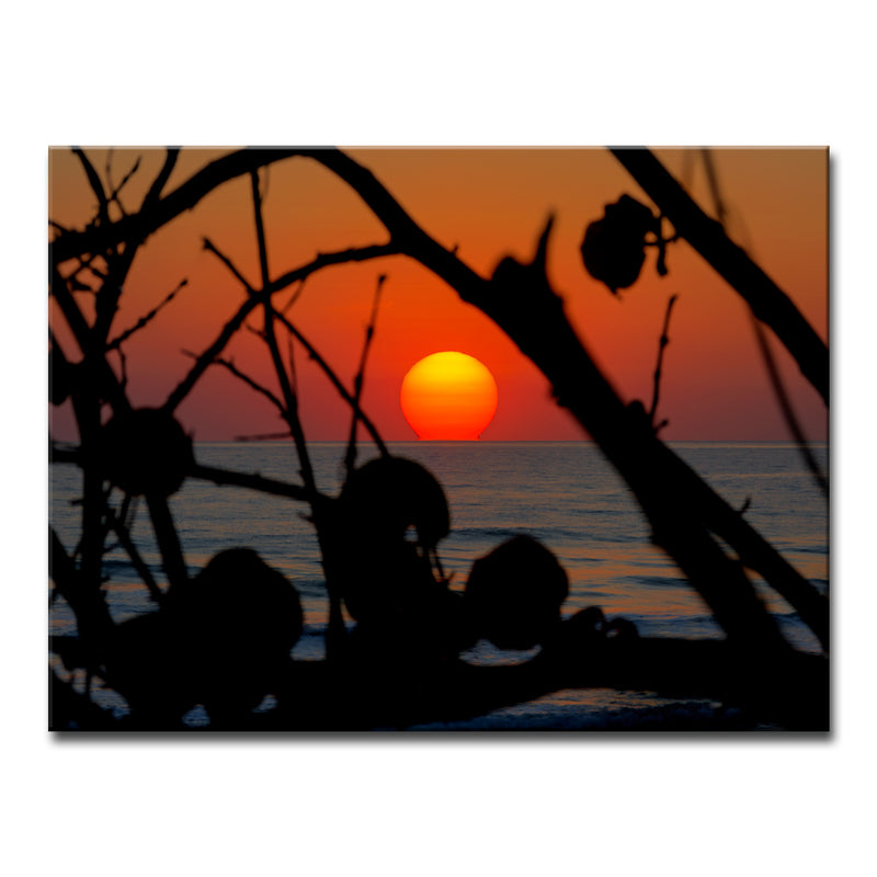 Sun Soaked' Wrapped Canvas Wall Art