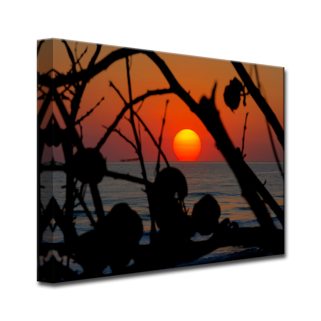 Sun Soaked' Wrapped Canvas Wall Art