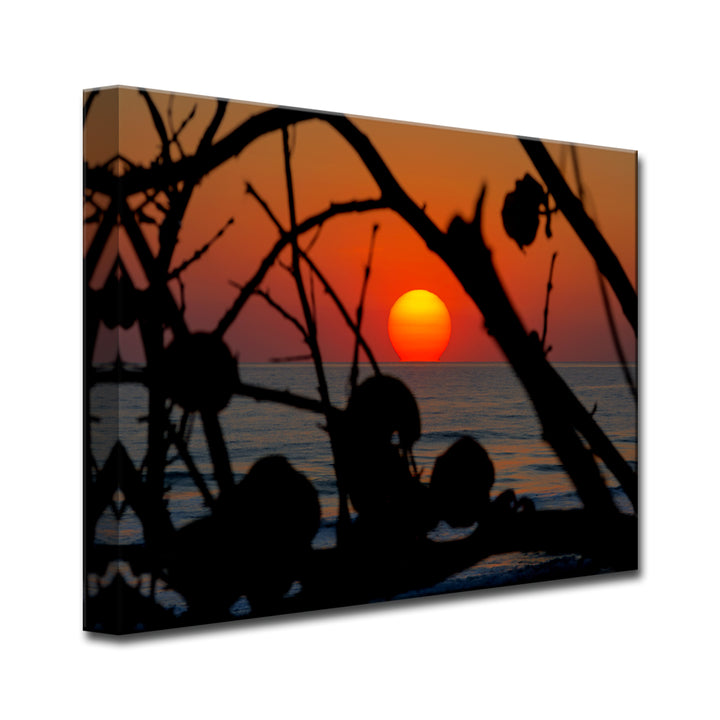 Sun Soaked' Wrapped Canvas Wall Art