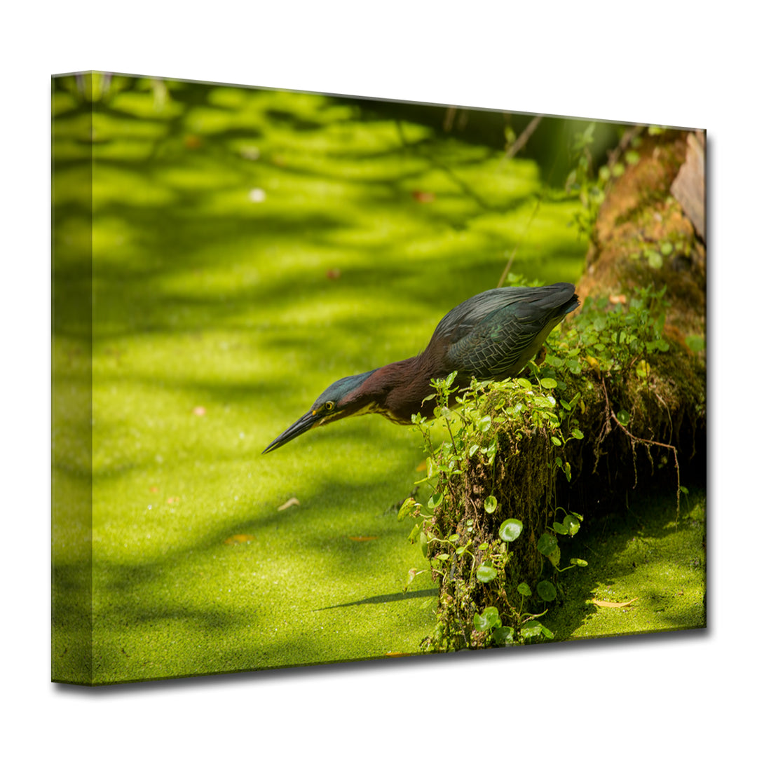 Launch' Wrapped Canvas Wall Art