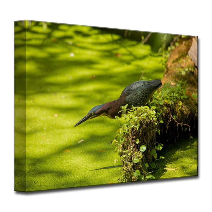 Launch' Wrapped Canvas Wall Art