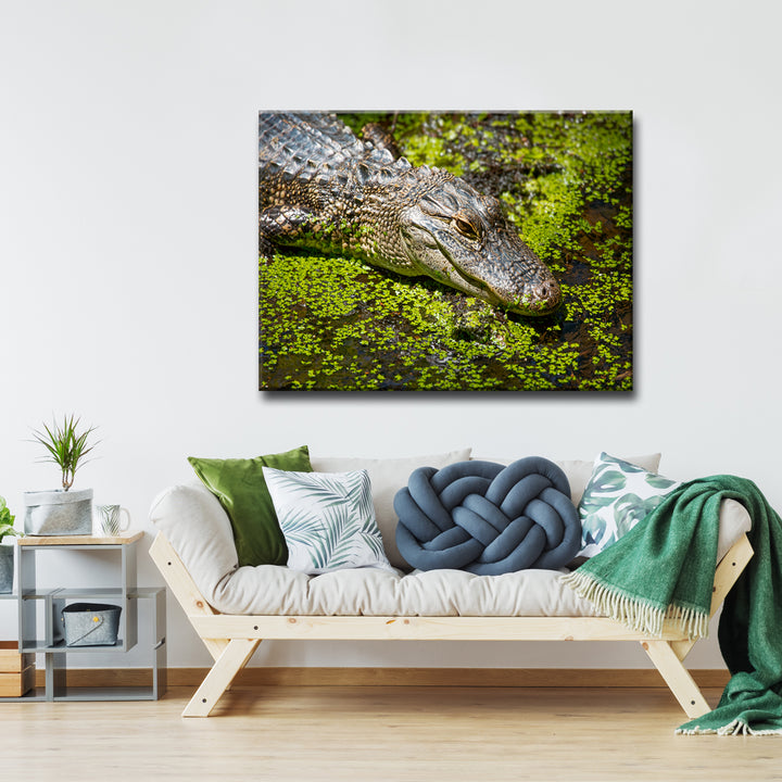 Bask' Wrapped Canvas Wall Art