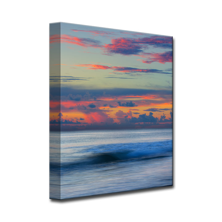 Candy Coated' Wrapped Canvas Wall Art