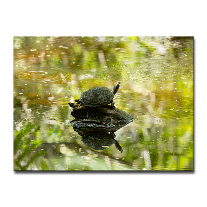 Warm Glory' Wrapped Canvas Wall Art