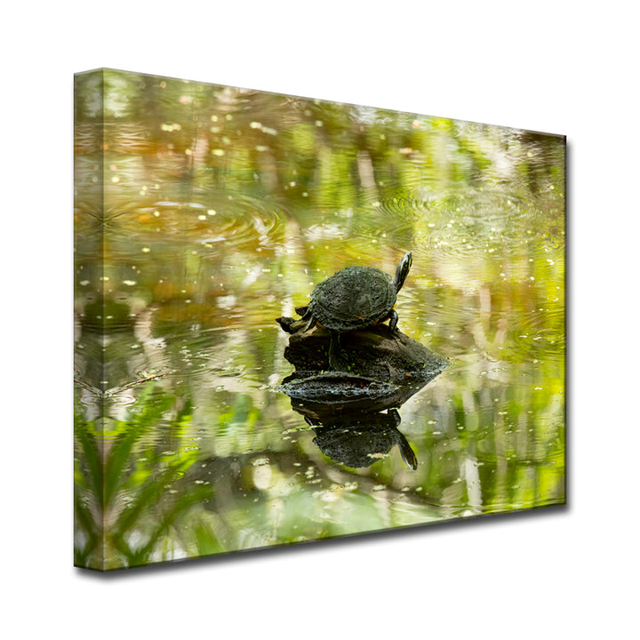 Warm Glory' Wrapped Canvas Wall Art