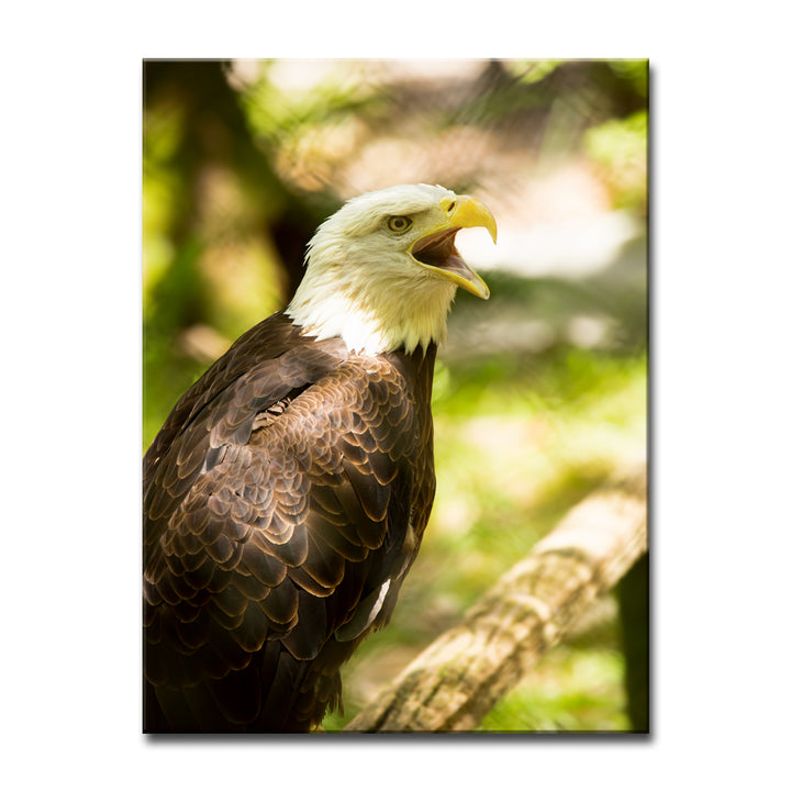 Resounding Call' Wrapped Canvas Wall Art